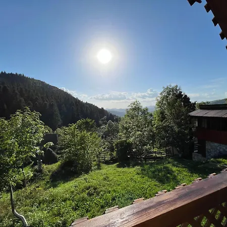 Chalet Taul Brazilor